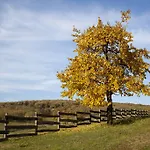 Oereghegyi * Vindornyalak