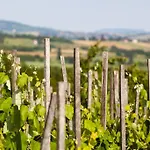 Oereghegyi Vindornyalak