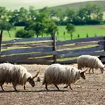 Apartamento Oereghegyi