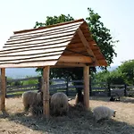 Apartamento Oereghegyi *