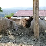 Oereghegyi Apartamento *