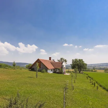 奥勒格基依公寓 公寓 *