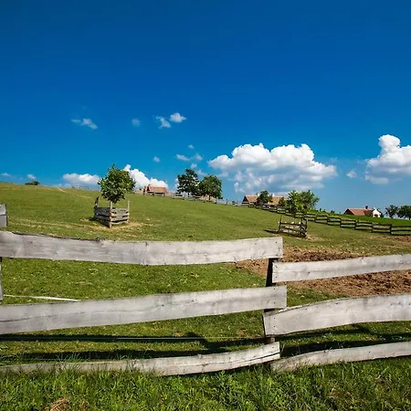 奥勒格基依公寓 公寓