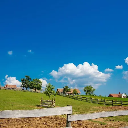 奥勒格基依公寓 公寓 *