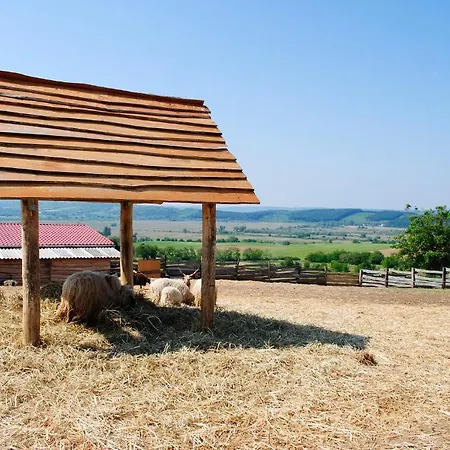 Oereghegyi * Vindornyalak