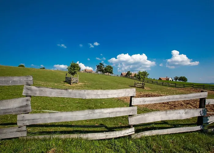 奥勒格基依公寓 公寓