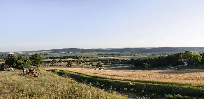 アパート Oereghegyi