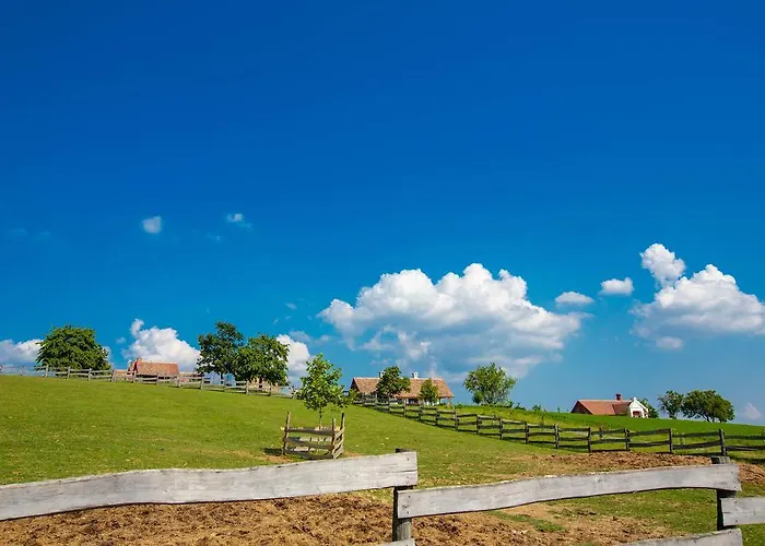 奥勒格基依公寓 公寓 *