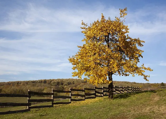 Oereghegyi * Vindornyalak