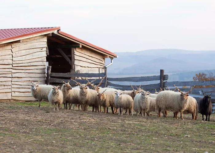 Oereghegyi アパート Vindornyalak