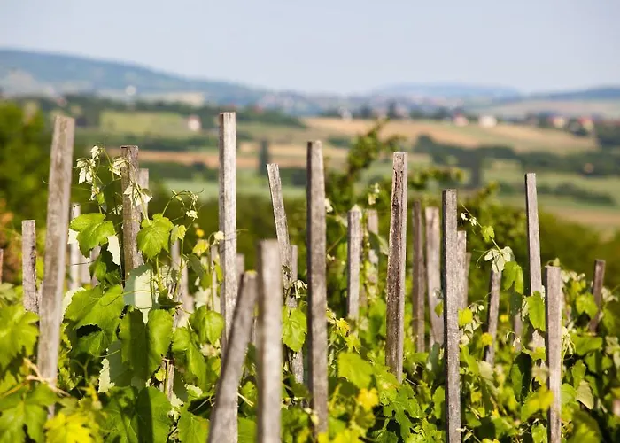 Oereghegyi Vindornyalak