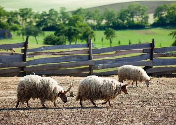公寓 奥勒格基依公寓