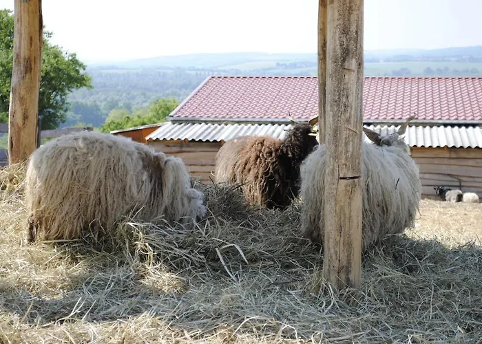 奥勒格基依公寓 公寓 *