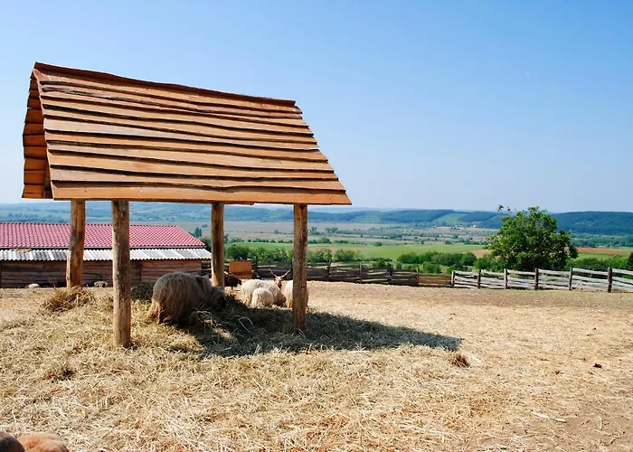 奥勒格基依公寓 * Vindornyalak