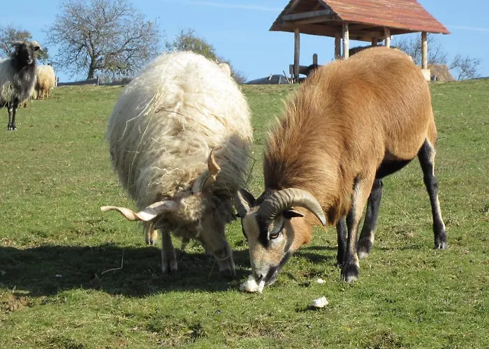 奥勒格基依公寓 * Vindornyalak